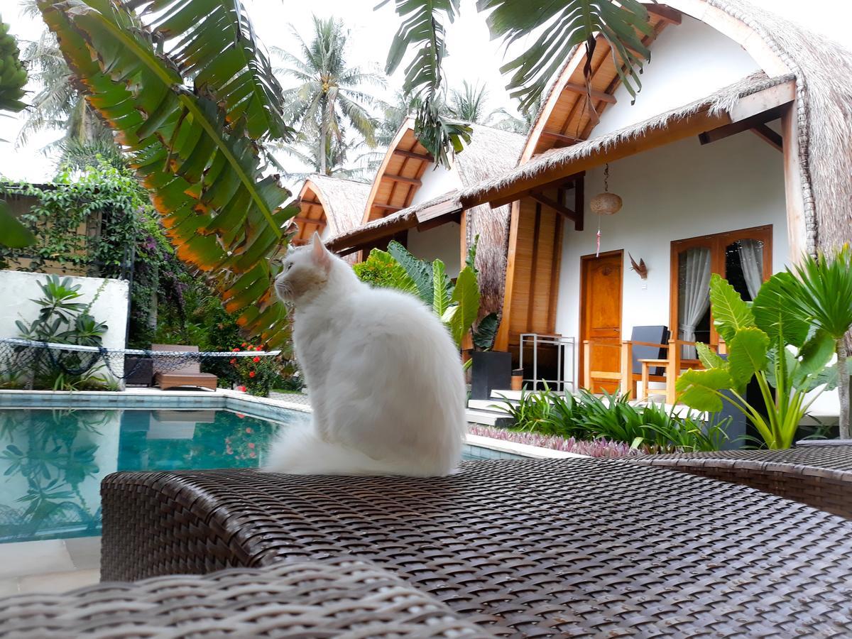 Teras Lombok Bungalow Сенггиги Экстерьер фото