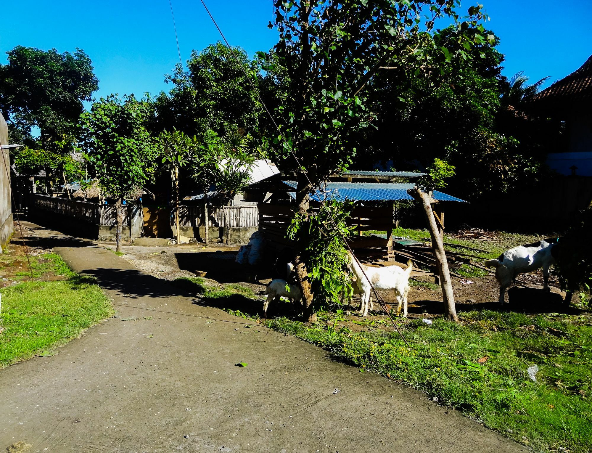 Teras Lombok Bungalow Сенггиги Экстерьер фото